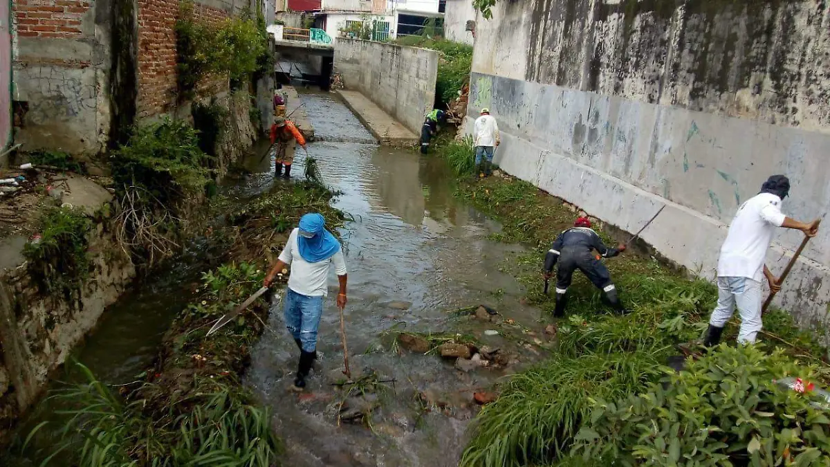 trabajos de limpieza